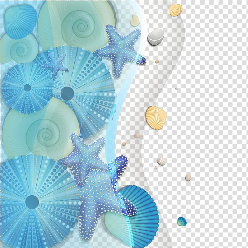 blue and white shells and starfish illustration, Cartoon Sea, sea seashells transparent background PNG clipart