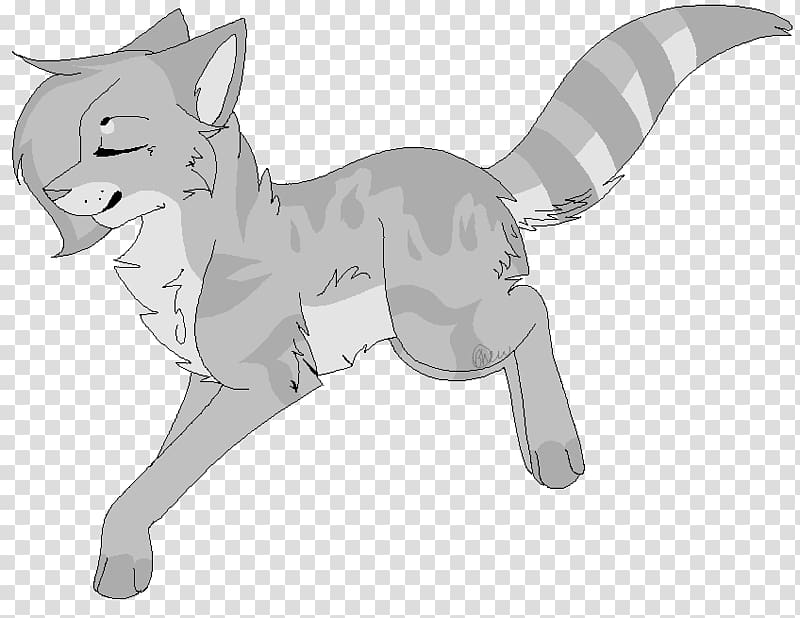 Cat Whiskers Warriors Silverstream Graystripe, Cat transparent background PNG clipart