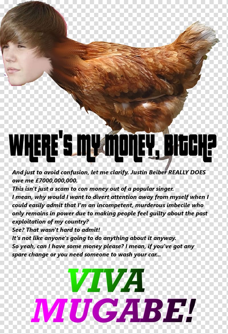 Roast chicken Avian influenza Chicken coop Buffalo wing, donate money transparent background PNG clipart