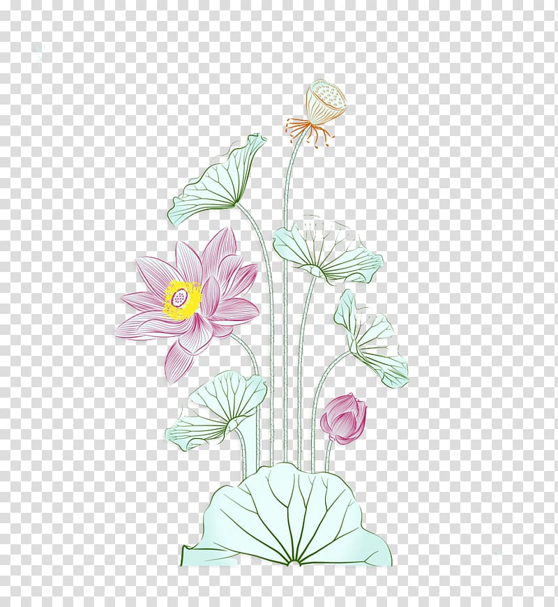 pink and green petaled flowers illustration, Watercolor painting Nelumbo nucifera Illustration, Creative watercolor lotus transparent background PNG clipart