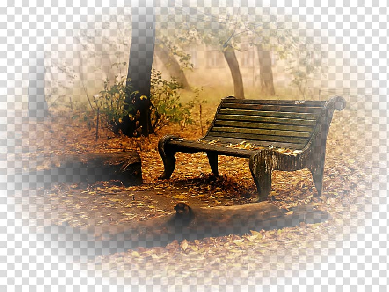 Autumn Grief Desktop Death, autumn transparent background PNG clipart