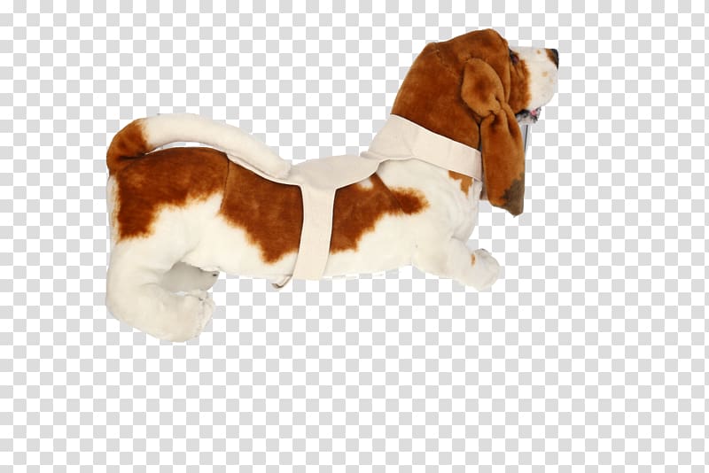 Basset Hound Beagle Puppy Dog breed Companion dog, puppy transparent background PNG clipart