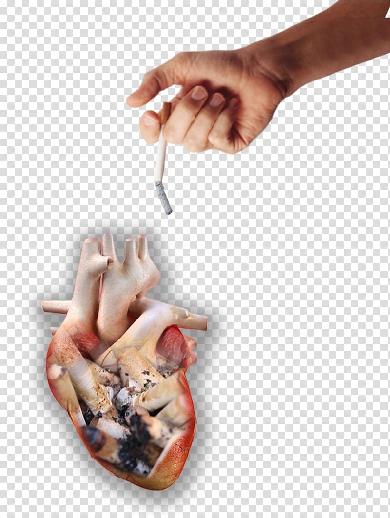 Hazards of smoking transparent background PNG clipart
