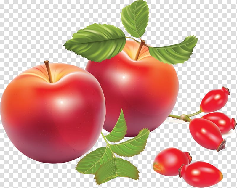 Portable Network Graphics Rose hip Apple graphics , apple transparent background PNG clipart