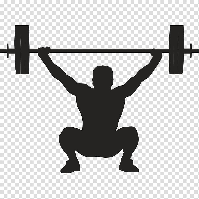 Olympic weightlifting Weight training Bench , others transparent background PNG clipart