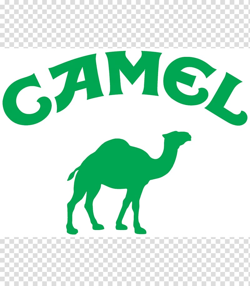 Mammal Carnivora Formula 1 Camel Horse, camel logo transparent background PNG clipart