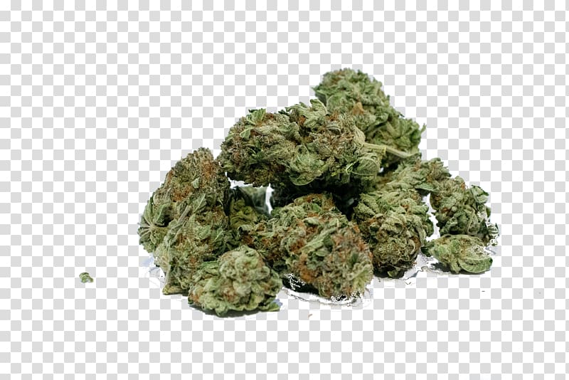 Medical cannabis Dispensary Cannabis shop Legalization, cannabis transparent background PNG clipart