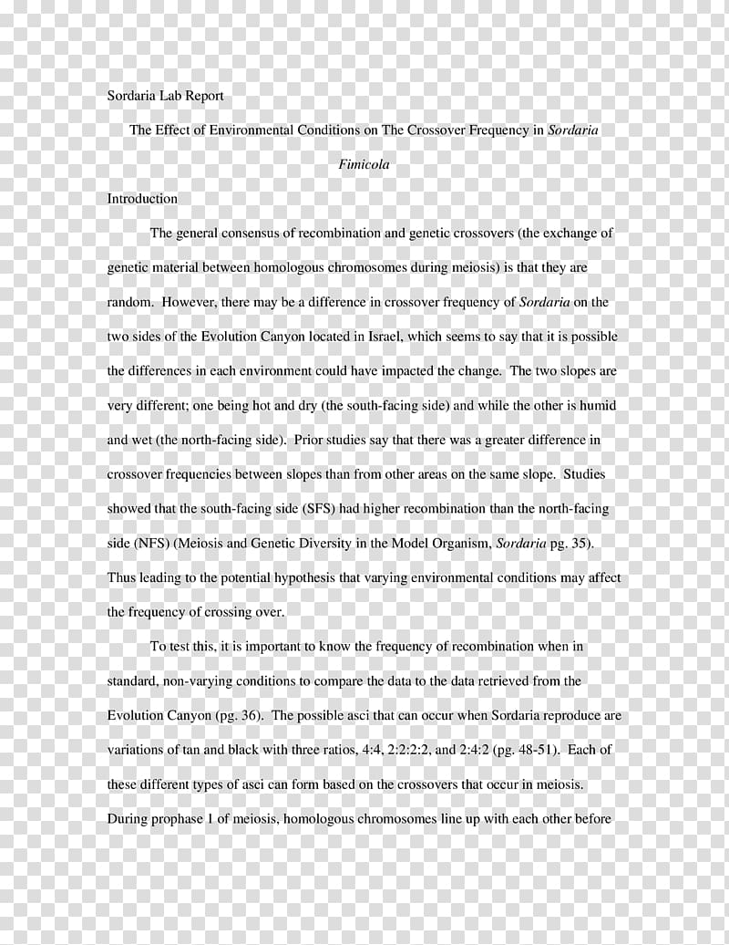 Document Line Angle Essay, line transparent background PNG clipart