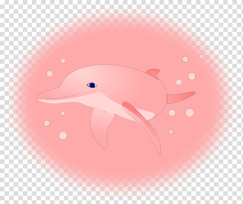 Amazon river dolphin Desktop Pink+Dolphin Clothing, dolphin transparent background PNG clipart