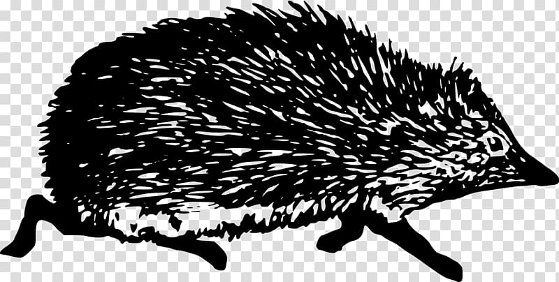 Hedgehog , black and white hedgehog transparent background PNG clipart