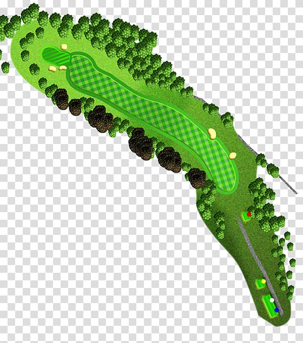 Reptile, Tree Hole transparent background PNG clipart