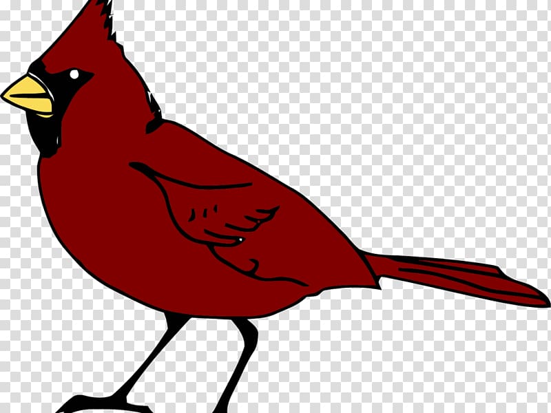 Bird Northern cardinal , Bird transparent background PNG clipart