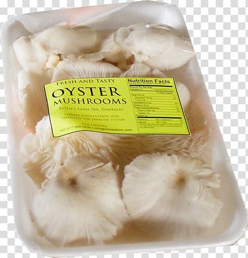 Oyster Mushroom Punjabi cuisine Vegetarian cuisine, mushroom transparent background PNG clipart