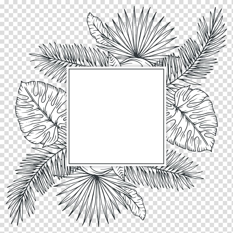 white and black leaf frame illustration, Tropics Plant Sketch, Tropical plants transparent background PNG clipart