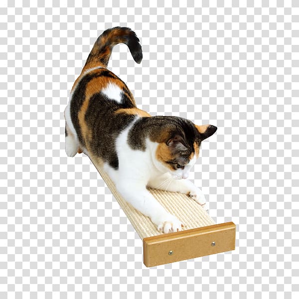 Cat tree Scratching post SmartCat Bootsies Combination Scratcher Pet, Cat transparent background PNG clipart