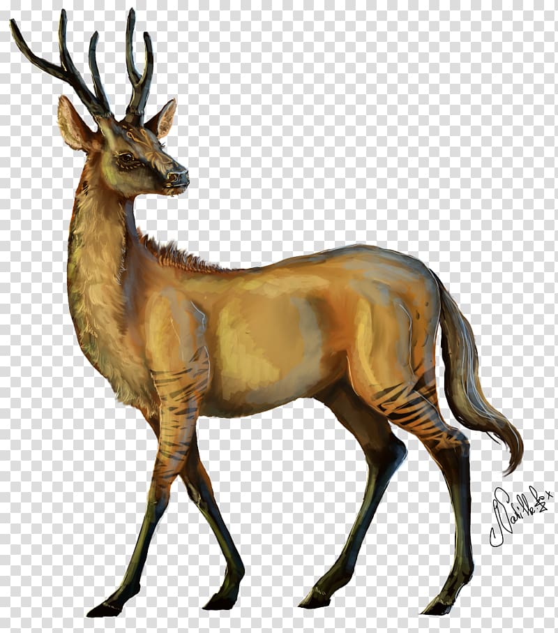 Elk Reindeer Musk deers Antelope, Reindeer transparent background PNG clipart