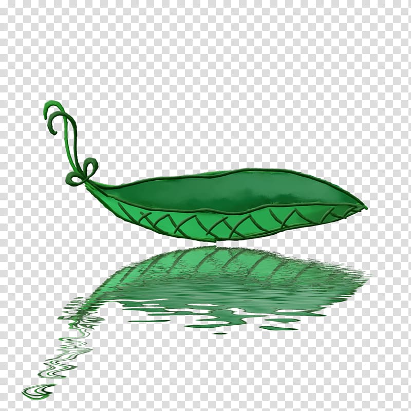 Leaf boat Leaf boat Petal, free buckle exquisite petal transparent background PNG clipart