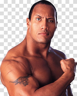 Dave Bautista PNG Transparente - PNG All