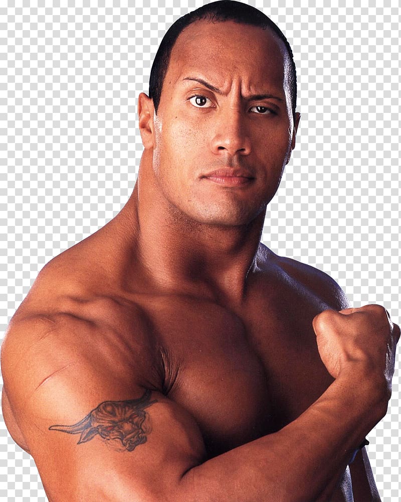 Dwayne Johnson The Scorpion King Professional wrestling Professional Wrestler Actor, dave bautista transparent background PNG clipart