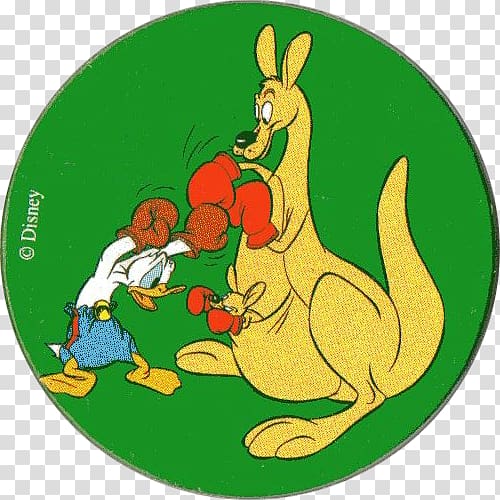 Boxing kangaroo Donald Duck Macropodidae, Boxing Kangaroo transparent background PNG clipart