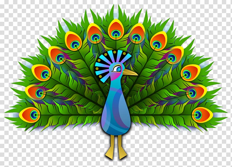 Bird Peafowl , Wrapping Paper transparent background PNG clipart