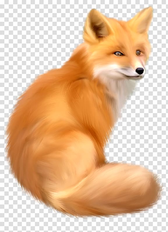 Fox , watercolor animals transparent background PNG clipart