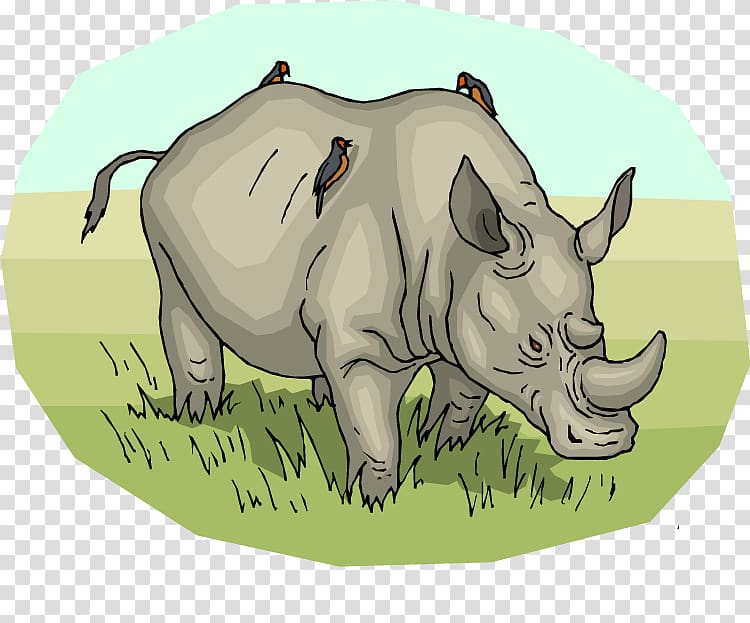 Northern white rhinoceros Pig Horn , Green Rhino transparent background PNG clipart