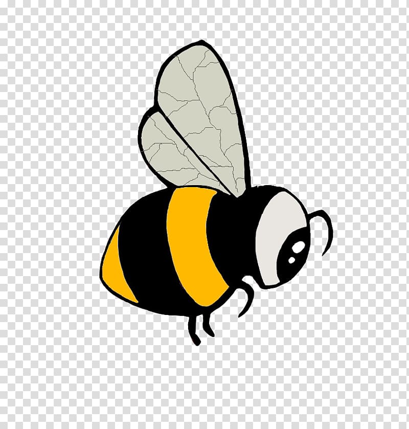 Honey bee Bumblebee La humla suse , bee transparent background PNG clipart