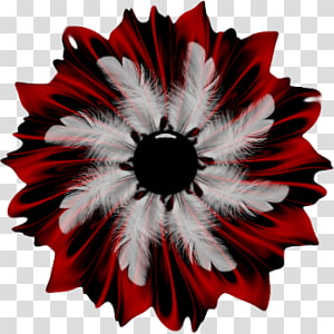 Petal Cut flowers Flowering plant, others transparent background PNG clipart thumbnail