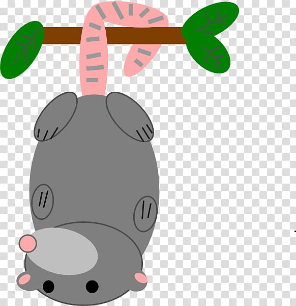 Opossum Marsupial , Possum transparent background PNG clipart