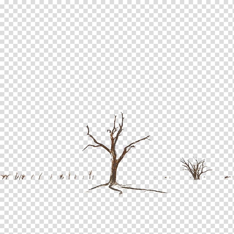 Black and white Pattern, Dead trees in late autumn transparent background PNG clipart