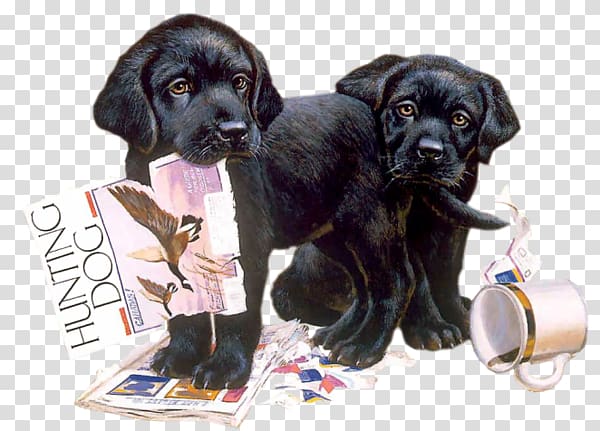 Labrador Retriever Puppy Cairn Terrier Dog breed Nintendogs + Cats, Labrador Dog transparent background PNG clipart
