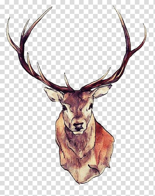 Reindeer Moose Elk Tattoo, watercolor animals transparent background PNG clipart