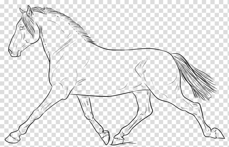 Line art Horse Drawing Sketch, lining body transparent background PNG clipart