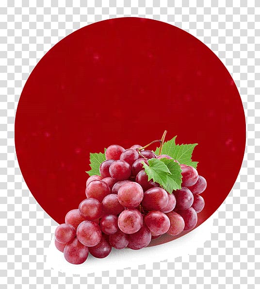 Common Grape Vine Red Wine Red Globe Juice, grape transparent background PNG clipart