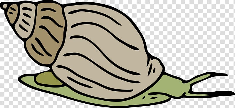 Sea snail Seashell , snails transparent background PNG clipart