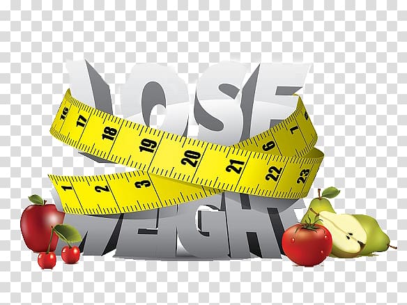 Weight loss Abdominal obesity Adipose tissue Exercise Dietary supplement, reduce weight transparent background PNG clipart
