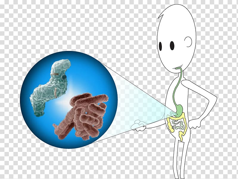 Biology Vertebrate Water Coliform bacteria Contamination, characteristic transparent background PNG clipart