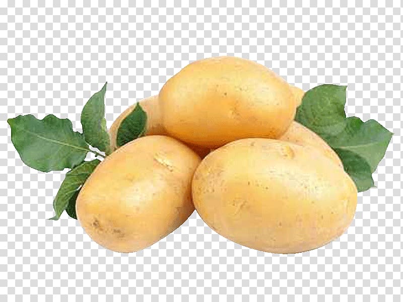 Yukon Gold potato Natural foods Tuber Lemon, lemon transparent background PNG clipart