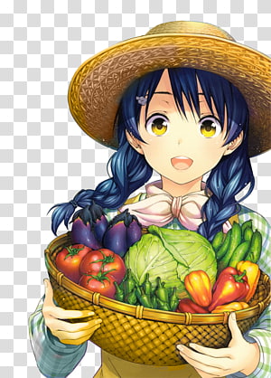 Food Wars!, Vol. 3: Shokugeki no Soma Food Wars!, Vol. 1: Shokugeki no Soma  Food Wars!, Vol. 13: Shokugeki No Soma Food Wars, Shokugeki No Soma 3,  others transparent background PNG clipart