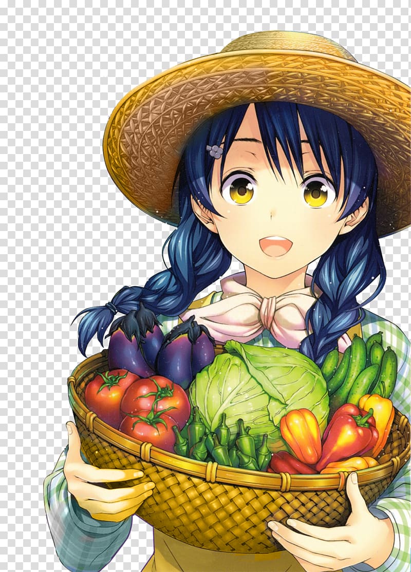 Food Wars! Shokugeki no Soma Animation Staff's Color Fan Art Book