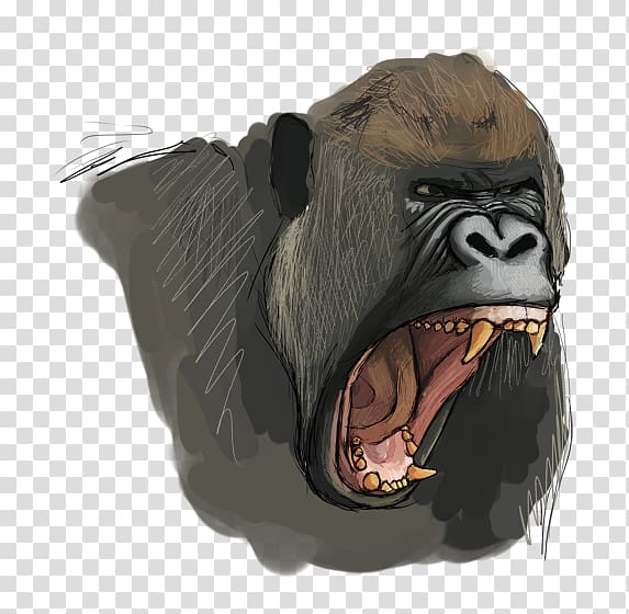 Common chimpanzee Western gorilla Snout, gorilla painting transparent background PNG clipart