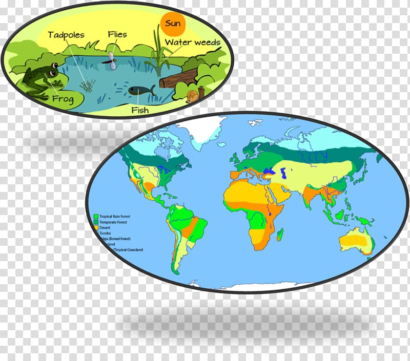 World map Biome Science Climate, living world transparent background PNG clipart