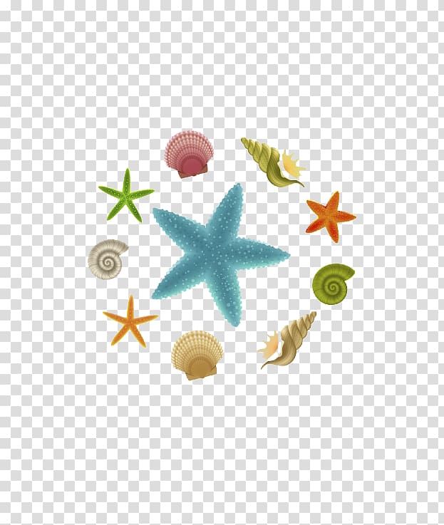 Starfish , Cute sea creatures transparent background PNG clipart
