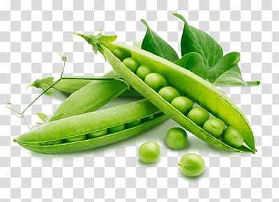 Pea transparent background PNG clipart