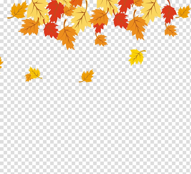 Maple leaf Yellow, Maple Leaf transparent background PNG clipart
