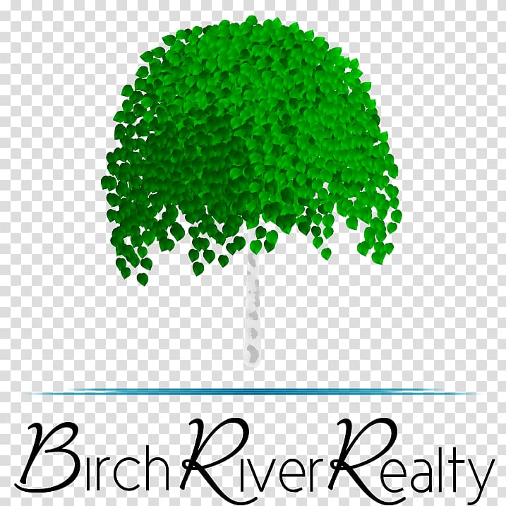 Birch River Realty Birch River Drive Achasta Tree Brand, Walindi Plantation Resort transparent background PNG clipart