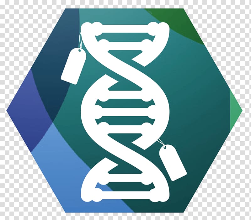 Epigenetics DNA methylation Mutation, others transparent background PNG clipart