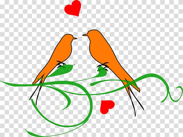 Wedding , loving birds transparent background PNG clipart