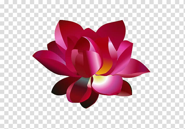 Adobe Animate Nelumbo nucifera Animation Icon, Bright lotus transparent background PNG clipart